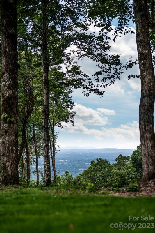 Property image 2 at 0000 East Garden Trail, Hendersonville, NC 28792