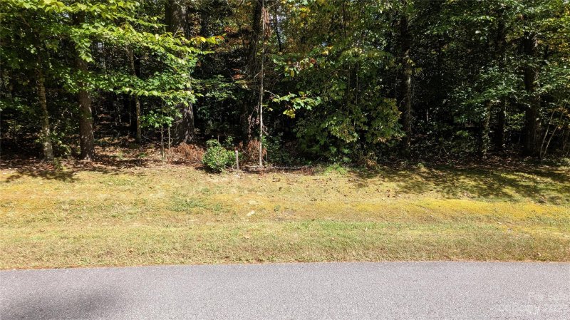 Property image 3 at Tbd Mountain Brook Trail, Brevard, NC 28712