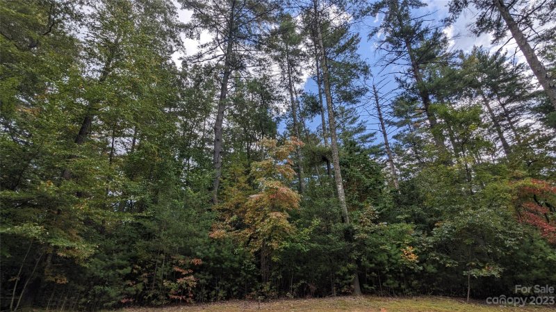 Property image 4 at Tbd Mountain Brook Trail, Brevard, NC 28712