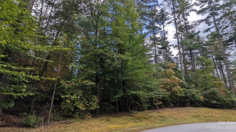 Property image 5 at Tbd Mountain Brook Trail, Brevard, NC 28712