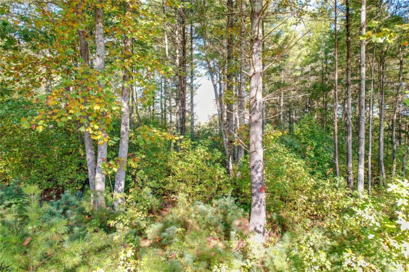 Property image 2 at Tbd Linville View Drive, Nebo, NC 28761