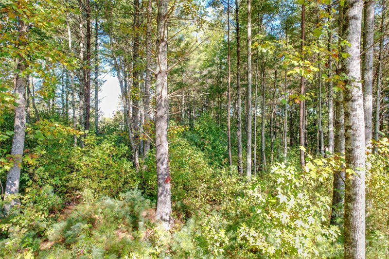 Property image 4 at Tbd Linville View Drive, Nebo, NC 28761