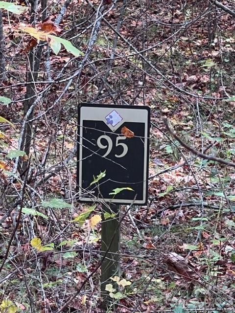 Property image 3 at 95 Darrow Drive, Nebo, NC 28761