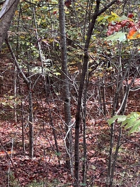 Property image 4 at 95 Darrow Drive, Nebo, NC 28761