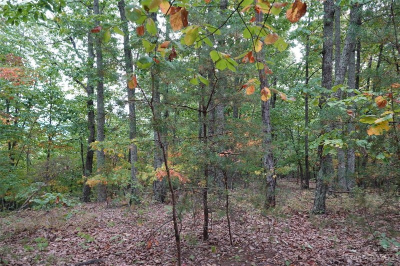 Property image 2 at 42 Mountain Lookout Drive, Bostic, NC 28018