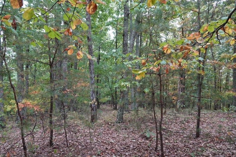 Property image 3 at 42 Mountain Lookout Drive, Bostic, NC 28018