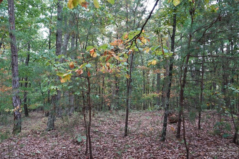 Property image 4 at 42 Mountain Lookout Drive, Bostic, NC 28018