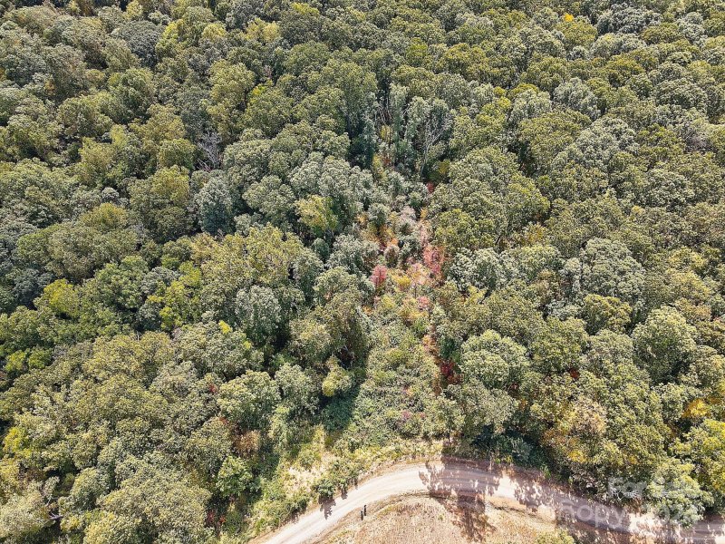 Property image 4 of 000 High Rock View Drive in The Summit Of Asheville, Canton, NC 28716