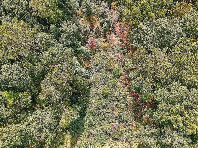 Property image 5 of 000 High Rock View Drive in The Summit Of Asheville, Canton, NC 28716