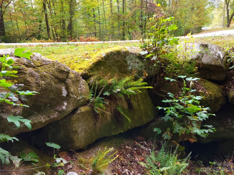 Property image 4 at 000 Rockbrook Overlook, Brevard, NC 28712