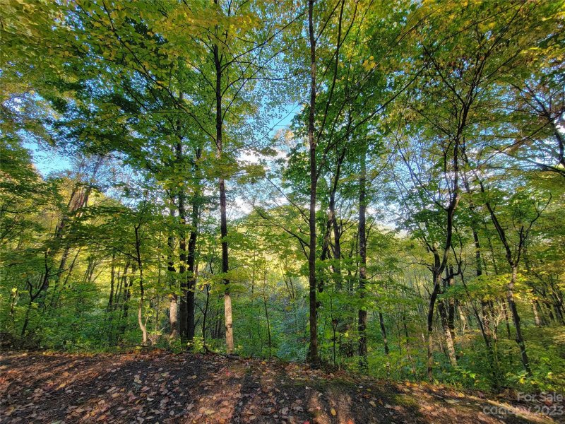 Property image 5 at 310 High Cliff Drive, Waynesville, NC 28786