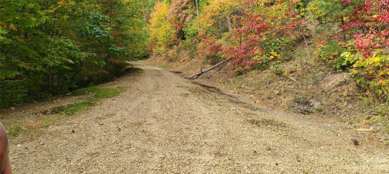 Property image 2 of 51 Wolverine Court in The Willows, Waynesville, NC 28785