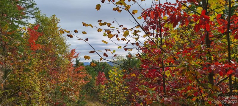 Property image 4 of 51 Wolverine Court in The Willows, Waynesville, NC 28785
