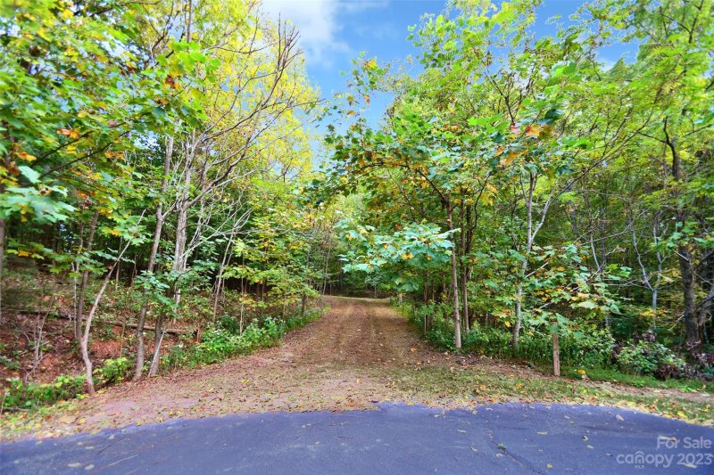 Property image 5 at 219 Peseco Drive, Bostic, NC 28018