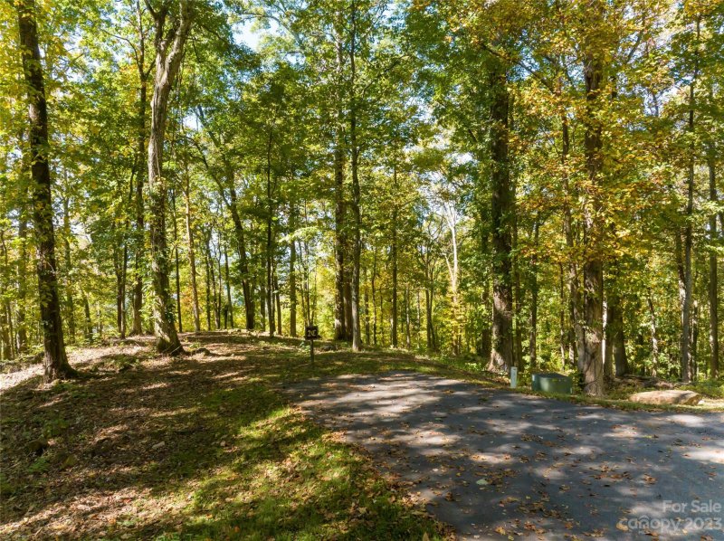 Property image 3 at 99999 Old Forest Drive, Asheville, NC 28803