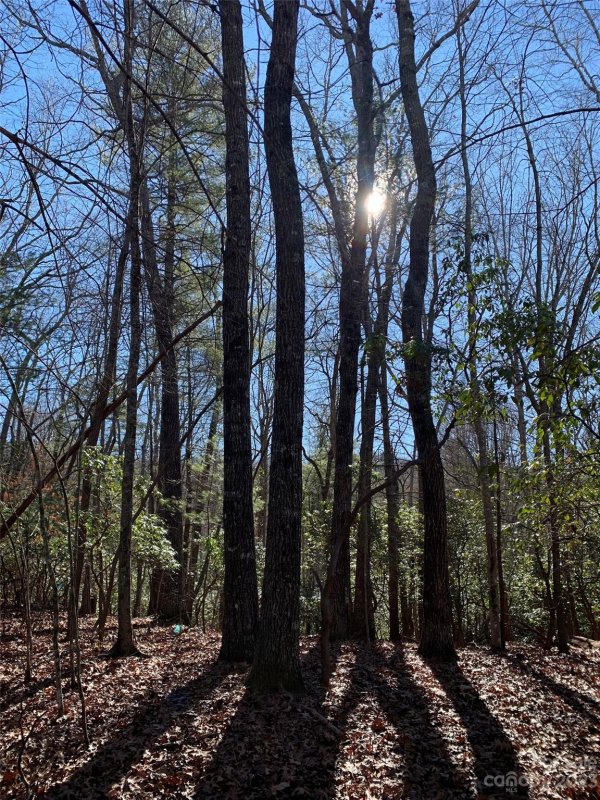 Property image 2 at 000 Timberlane Drive, Pisgah Forest, NC 28768