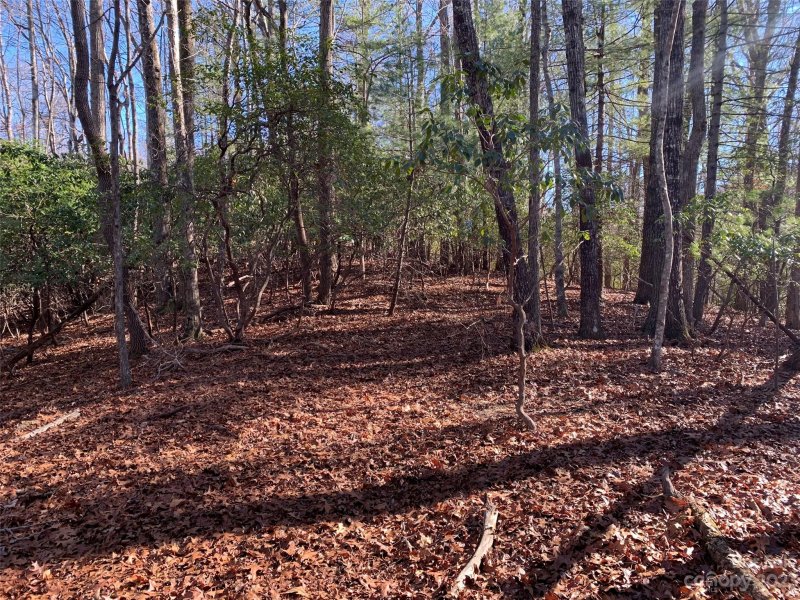Property image 3 at 000 Timberlane Drive, Pisgah Forest, NC 28768