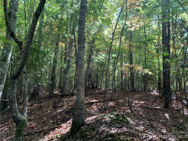 Property image 5 at 000 Timberlane Drive, Pisgah Forest, NC 28768