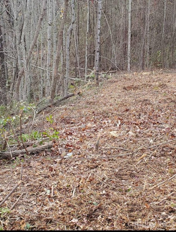 Property image 5 at Lot 75 Honey Bee Lane, Sylva, NC 28779