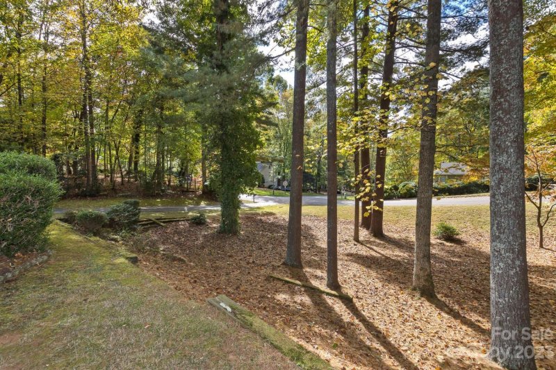 Property image 4 at 45 Pine Ridge Trail, Arden, NC 28704