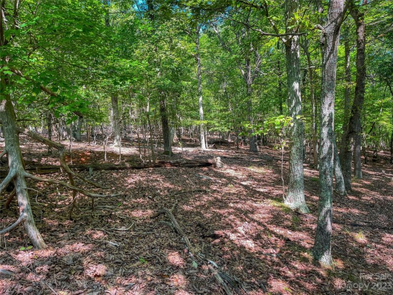 Property image 5 at 805 Sierra Trace Road, Denton, NC 27239