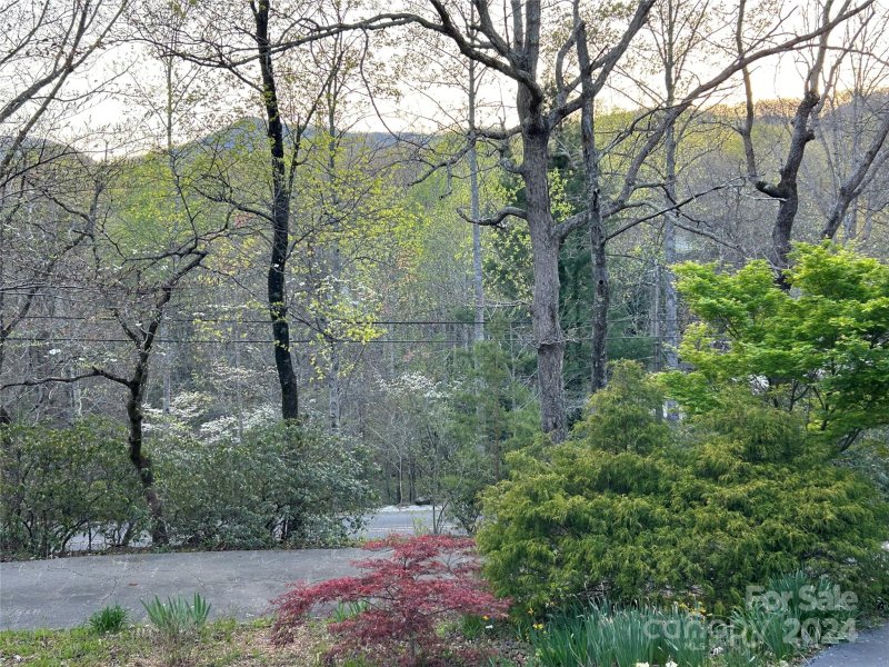 Property image 5 at 645 E Park Drive, Tryon, NC 28782