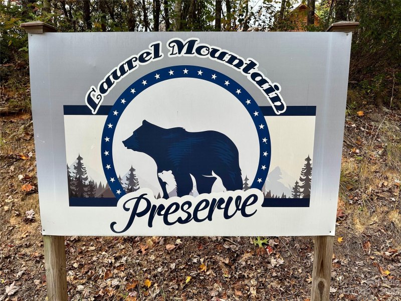 Property image 3 at 9999 Laurel Mountain Trail, Black Mountain, NC 28711