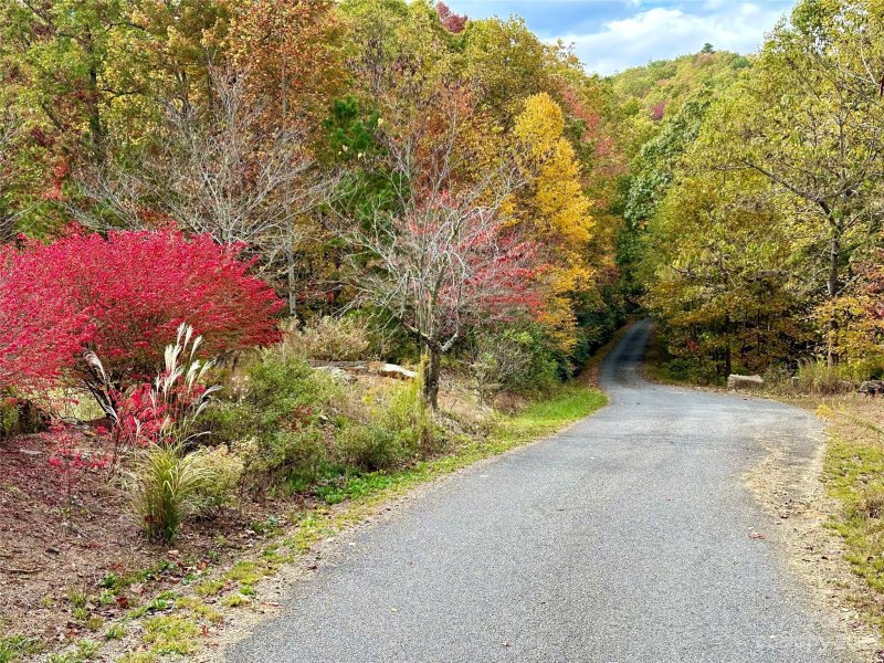 Property image 5 at 9999 Laurel Mountain Trail, Black Mountain, NC 28711