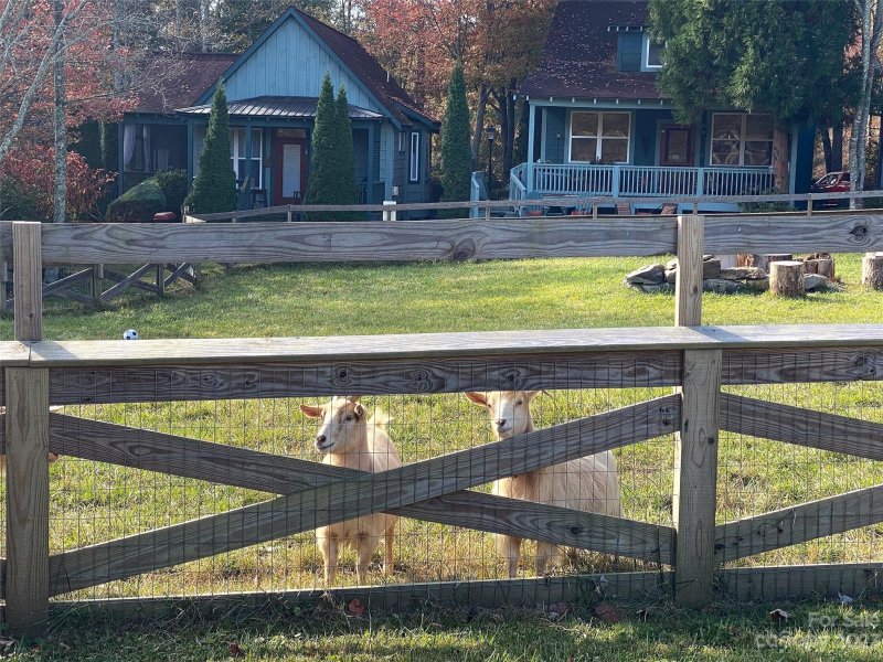 Property image 4 at 99999 Waterlily Drive, Flat Rock, NC 28731