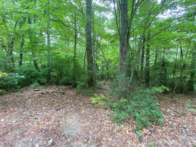 Property image 5 at 999 Greenway Drive, Old Fort, NC 28762