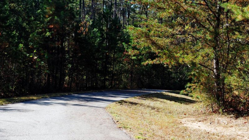 Property image 3 at 0000 Westridge Drive, Lake Lure, NC 28746