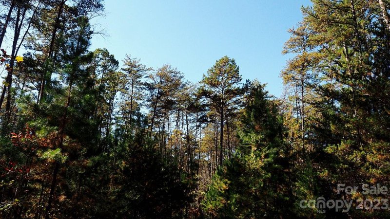 Property image 5 at 0000 Westridge Drive, Lake Lure, NC 28746