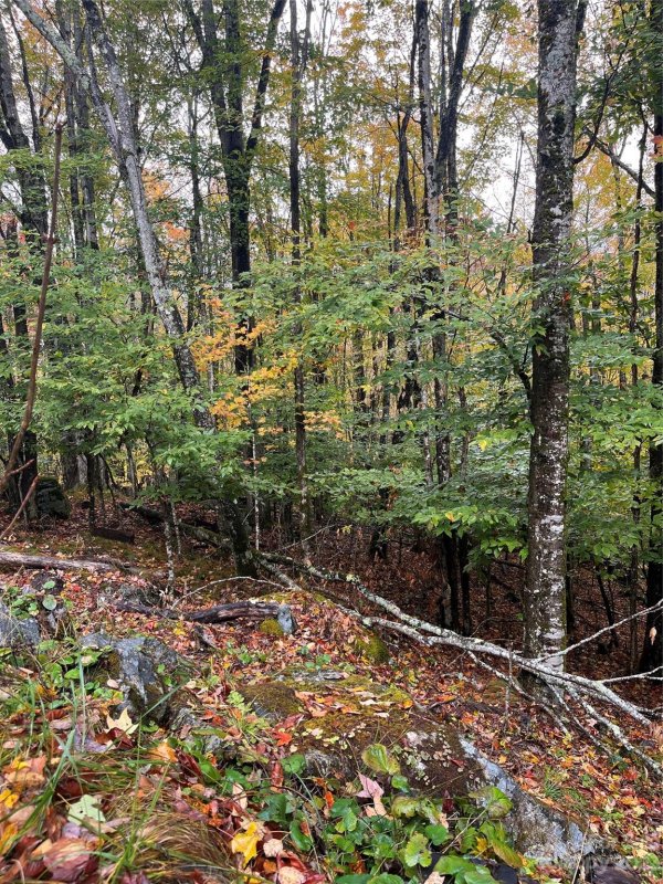 Property image 2 at 164 Wild Daisy Lane, Beech Mountain, NC 28604