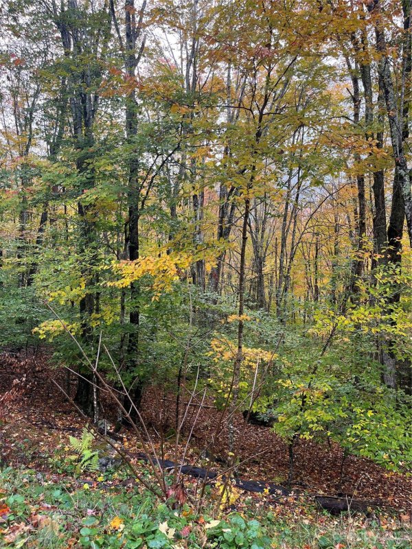 Property image 3 at 164 Wild Daisy Lane, Beech Mountain, NC 28604