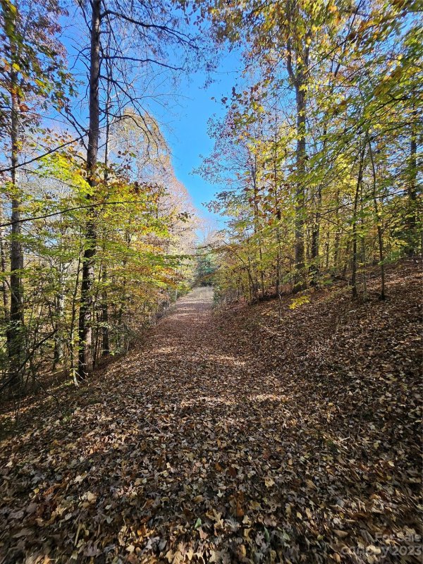 Property image 5 of 125 Big Cedar Drive in Green Hill Farms, Rutherfordton, NC 28139