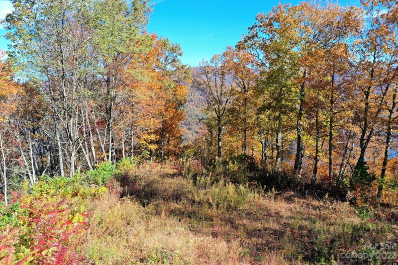 Property image 2 at Lot 270 Nanny Berry Lane, Tuckasegee, NC 28783