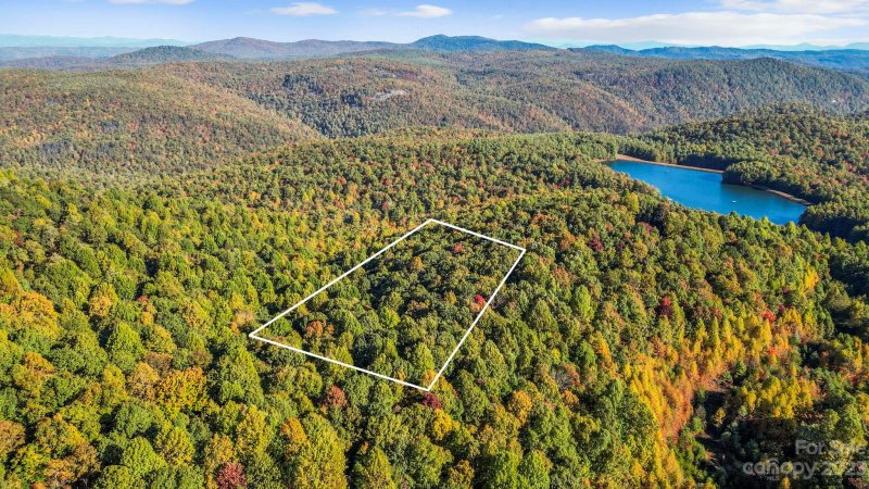 Property image 2 of 954 River Ridges Road in Green River Ridges, Hendersonville, NC 28739