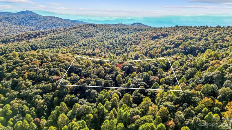 Property image 3 of 954 River Ridges Road in Green River Ridges, Hendersonville, NC 28739