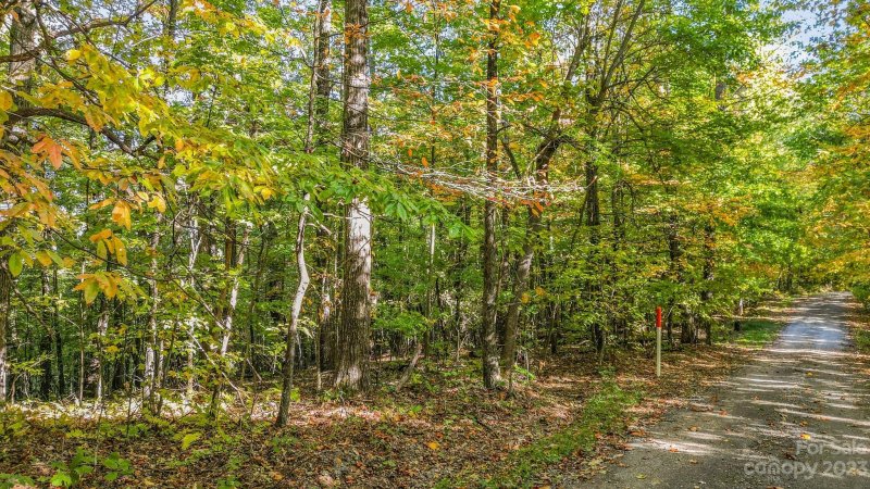 Property image 5 of 954 River Ridges Road in Green River Ridges, Hendersonville, NC 28739