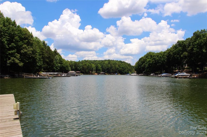 Property image 3 at 229 Wildwood Cove Drive, Mooresville, NC 28117