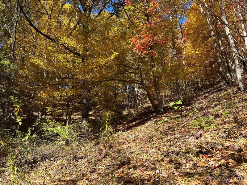 Property image 4 at 5 Hidden Valley Road, Clyde, NC 28721