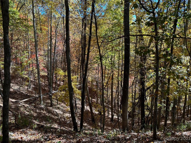 Property image 5 at 5 Hidden Valley Road, Clyde, NC 28721