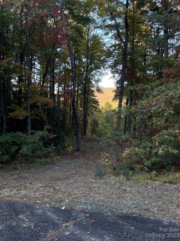 Property image 3 at Tbd Birch Lane, Rosman, NC 28772