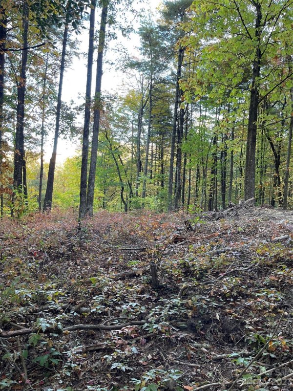 Property image 4 at Tbd Birch Lane, Rosman, NC 28772