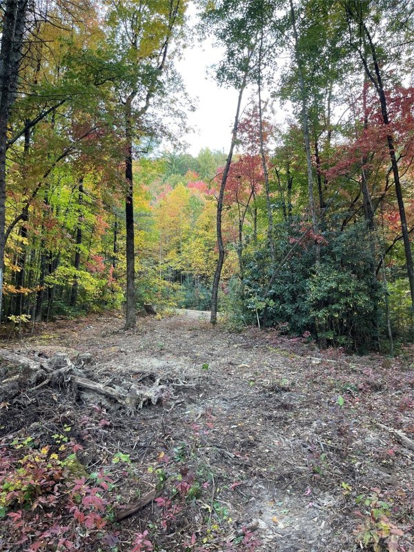 Property image 5 at Tbd Birch Lane, Rosman, NC 28772