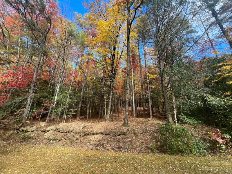 Property image 4 at 8888 Marshall Lake Road, Cedar Mountain, NC 28718