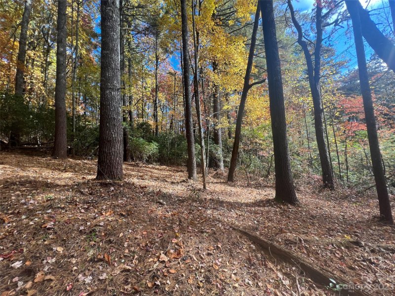 Property image 5 at 8888 Marshall Lake Road, Cedar Mountain, NC 28718