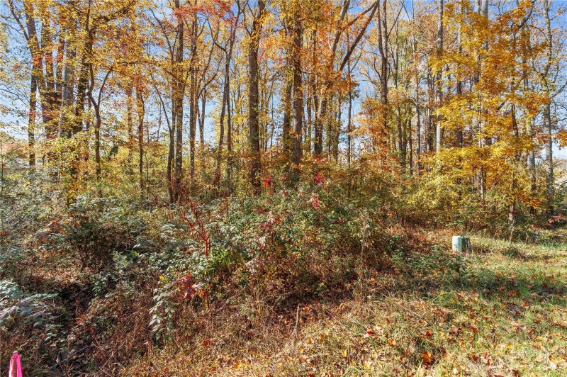 Property image 2 at 41 Scott Meadows Drive, Asheville, NC 28806