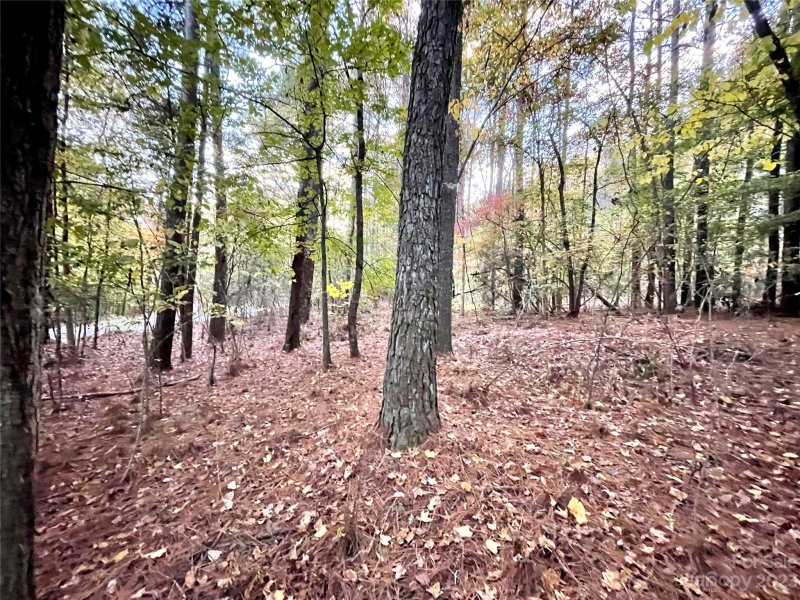 Property image 4 at 373 Hopewell Church Road, Catawba, NC 28609