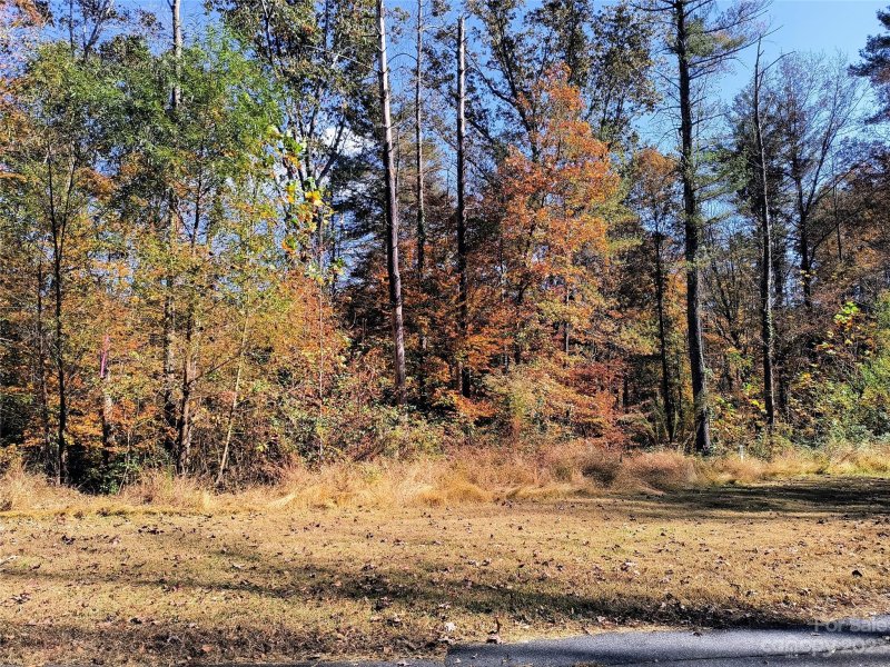Property image 3 of 115 Glass Water Point in Lake Rhodhiss Estates, Valdese, NC 28690